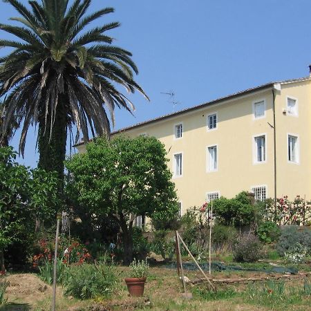 Casa Marce A "Sonno" Bed and Breakfast Porcari Εξωτερικό φωτογραφία