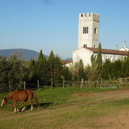 Casa Marce A "Sonno" Bed and Breakfast Porcari Εξωτερικό φωτογραφία