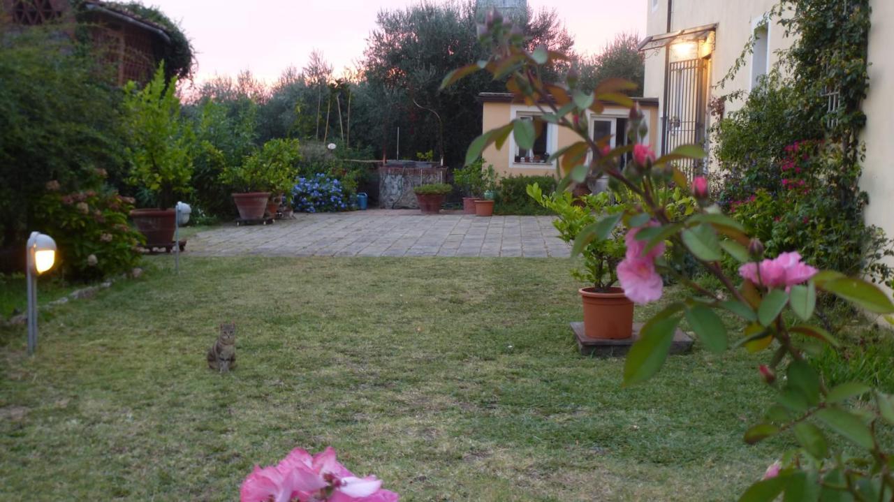 Casa Marce A "Sonno" Bed and Breakfast Porcari Εξωτερικό φωτογραφία