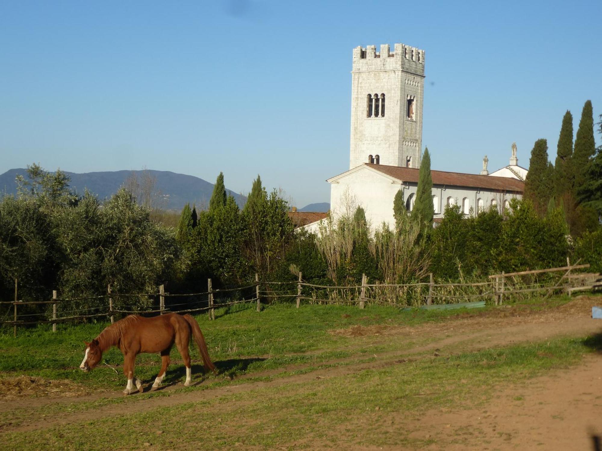 Casa Marce A "Sonno" Bed and Breakfast Porcari Εξωτερικό φωτογραφία